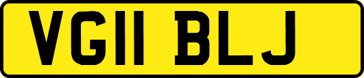 VG11BLJ