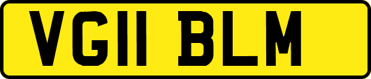 VG11BLM
