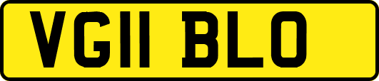 VG11BLO