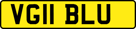 VG11BLU