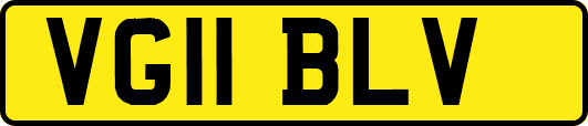 VG11BLV