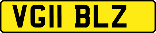 VG11BLZ