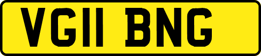 VG11BNG