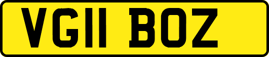 VG11BOZ
