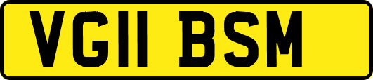 VG11BSM