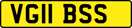 VG11BSS