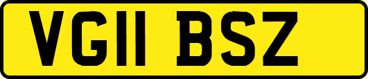VG11BSZ
