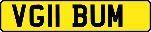 VG11BUM