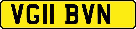 VG11BVN