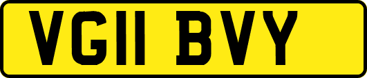 VG11BVY