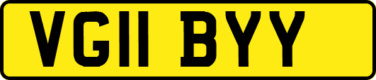 VG11BYY