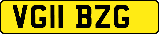 VG11BZG