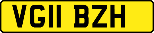 VG11BZH