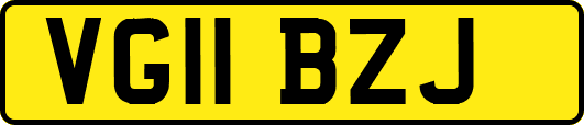VG11BZJ