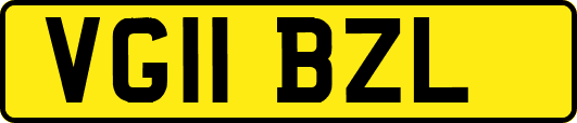 VG11BZL