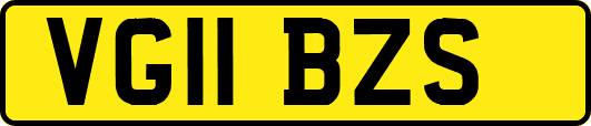 VG11BZS
