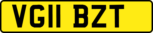 VG11BZT