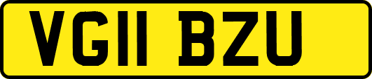 VG11BZU