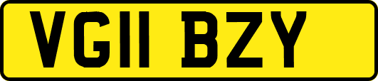 VG11BZY