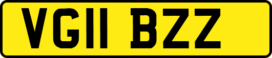 VG11BZZ