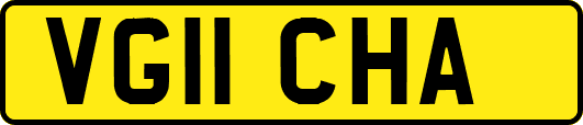 VG11CHA
