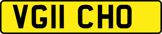 VG11CHO