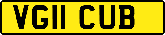 VG11CUB