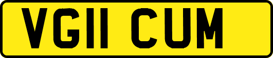 VG11CUM