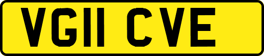 VG11CVE
