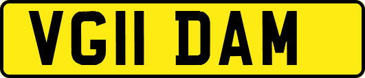 VG11DAM