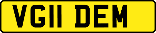 VG11DEM
