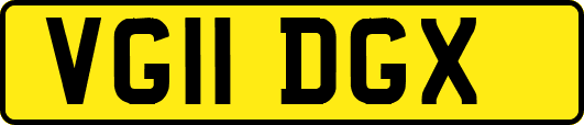VG11DGX