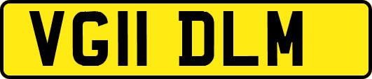 VG11DLM