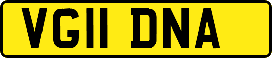 VG11DNA