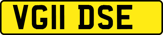 VG11DSE