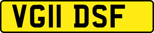 VG11DSF