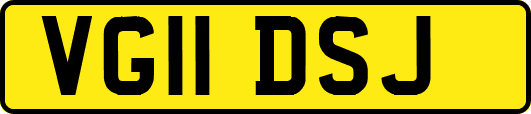 VG11DSJ