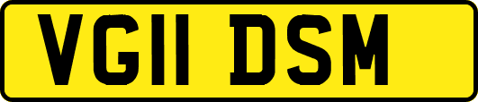 VG11DSM