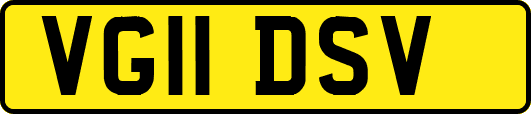 VG11DSV