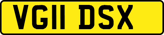 VG11DSX