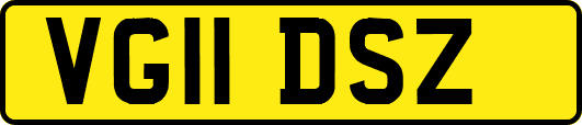 VG11DSZ