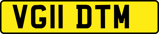 VG11DTM