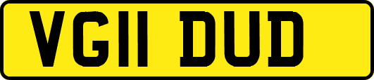 VG11DUD