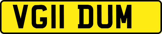 VG11DUM