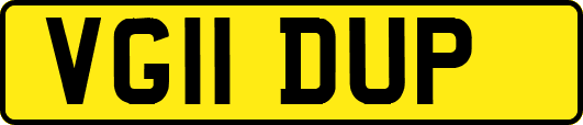 VG11DUP
