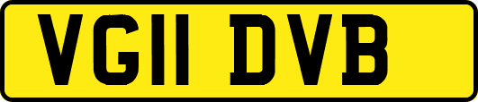 VG11DVB