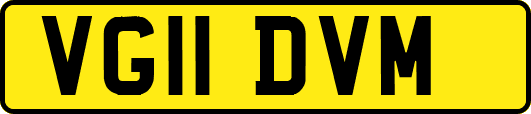 VG11DVM