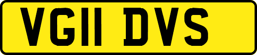 VG11DVS