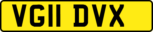 VG11DVX
