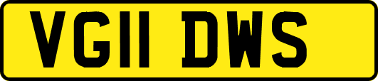 VG11DWS